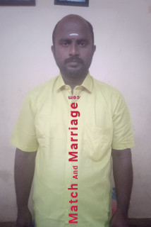 MM77646
